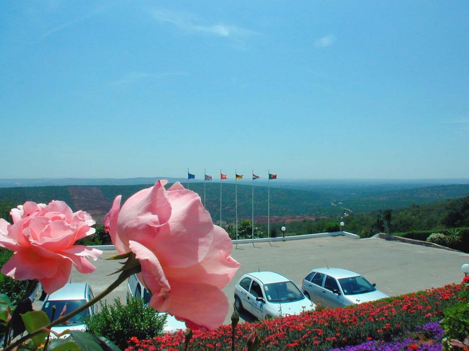 Alte Hotel Εξωτερικό φωτογραφία